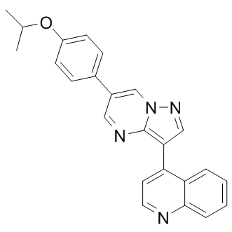 DMH1