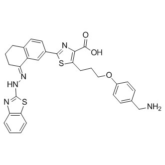 WEHI-539