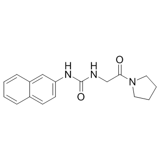 XY1