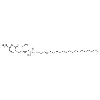 Brincidofovir(CMX001)