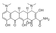 Minocycline
