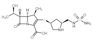 Doripenem