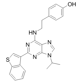 SteMRegenin 1